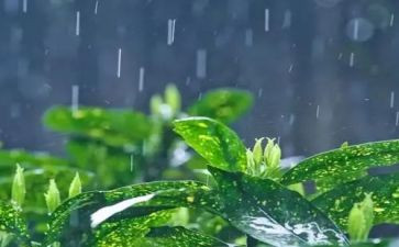 《雷雨》心得体会800字8篇