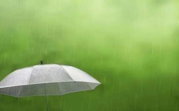 小班春天的雨教案5篇