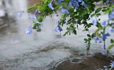 小班春天的雨教案精选5篇