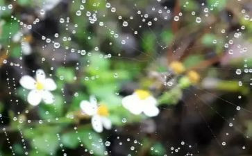大班科学雨来了教案6篇
