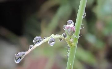 作文雨600字初中作文通用5篇