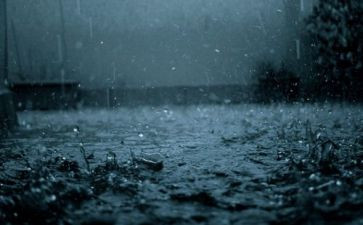 阅读雨教案6篇
