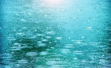 一年级下雨了下雨了教案6篇