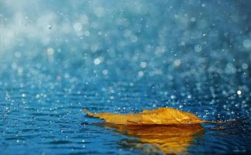 春雨语言活动教案5篇