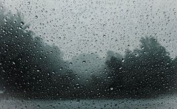 阅读雨教案模板6篇
