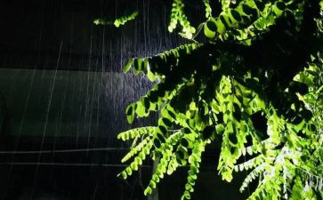 大班科学雨来了教案通用7篇