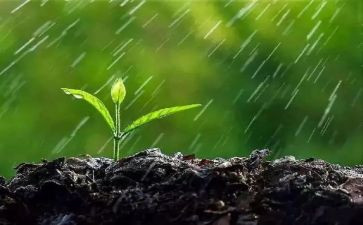 四季的雨教案5篇