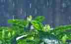 《雷雨》心得体会800字8篇