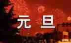 大班语言元旦教案8篇