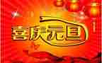 庆元旦活动总结范文5篇