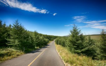 作文《远方》800字6篇