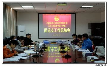 院团委学生会工作总结6篇