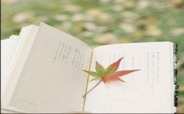 阅读心得体会两百字8篇