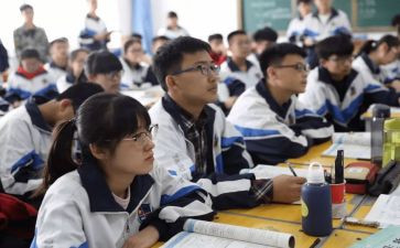 语数教师年度总结推荐8篇
