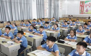 语数教师年度总结模板5篇