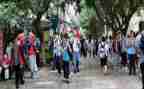 大学在校申请书推荐6篇
