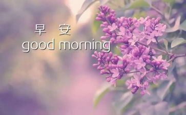 早教球的教案7篇