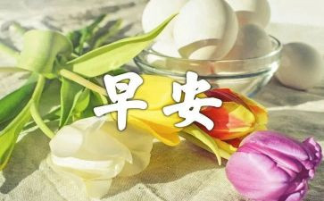 早汇报晚总结优秀5篇