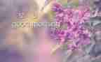早教球的教案7篇