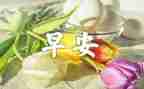 早汇报晚总结优秀5篇