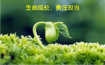 相关责任的演讲稿6篇