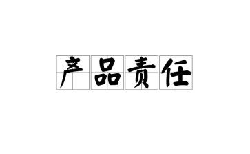 责任主体谈主体责任心得体会7篇
