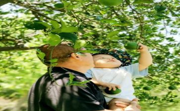 幼儿园摘果子教案8篇