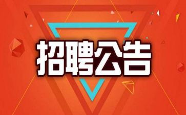 招聘组工作总结及计划6篇