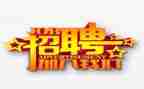 招聘工作试用期工作总结7篇