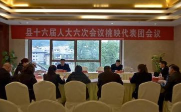 镇代表述职报告范文7篇