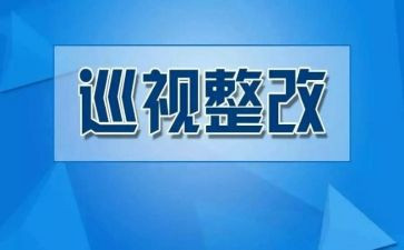 师德师风整改报告参考5篇
