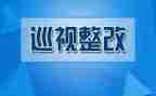师德师风整改报告参考5篇