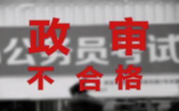 教师r政审个人总结7篇