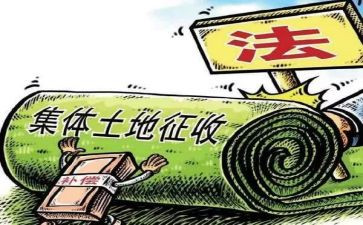 征收工作总结6篇