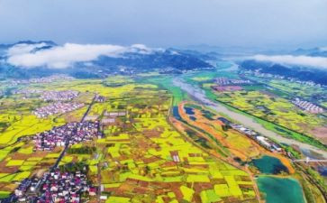 振兴乡村心得体会7篇