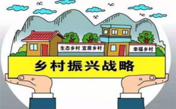 关于乡村振兴的心得体会6篇