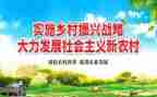 2024年乡村振兴工作总结报告7篇