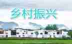 乡村振兴的汇报总结5篇