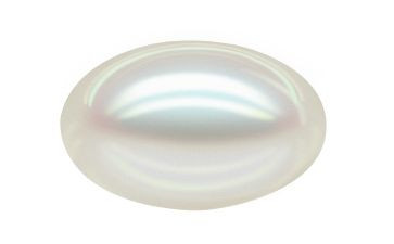 珍珠鸟的教案7篇