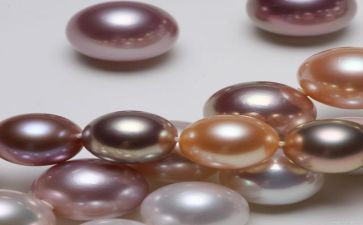 珍珠鸟的教案最新5篇