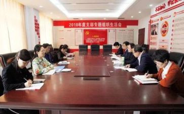 2024党支部年终总结5篇