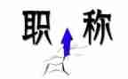 职称申请工作总结8篇