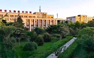 职高英语教师工作总结7篇