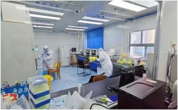 2023质量工作总结范文最新6篇