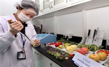 2023质量工作总结精选6篇