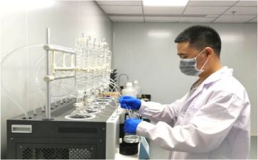 年质量工作总结8篇