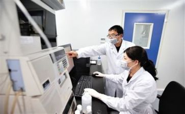 年质量工作总结参考5篇