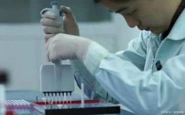 质量类工作总结6篇