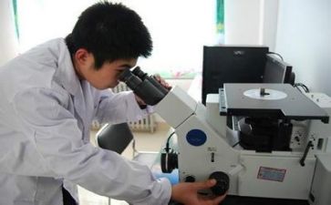 2023质量工作总结推荐5篇