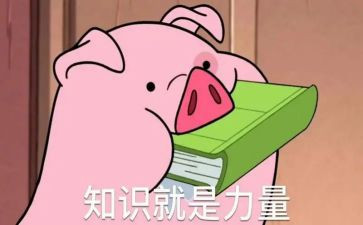 核知识的心得体会推荐6篇